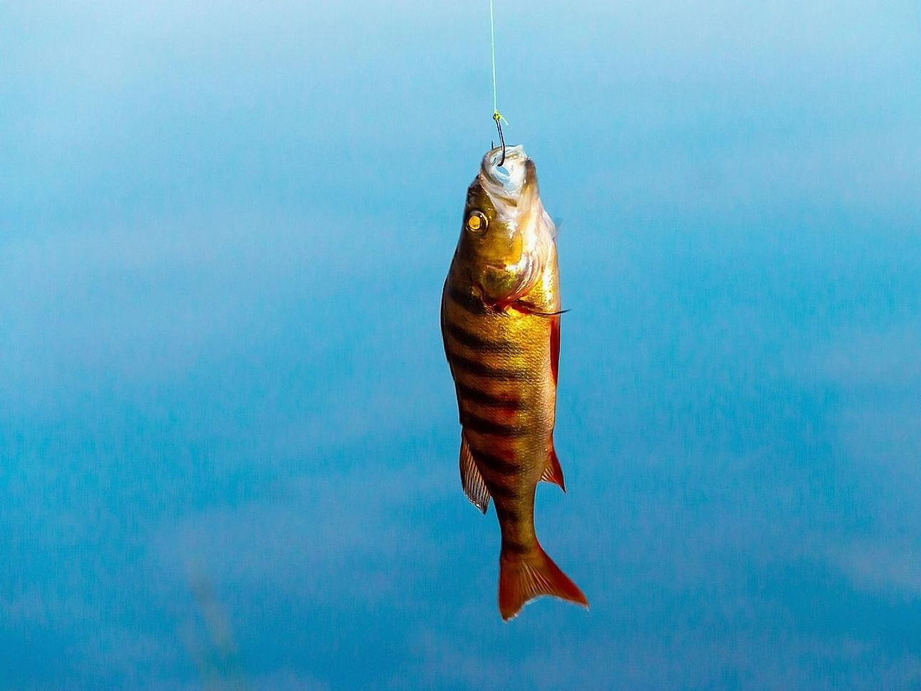 Construção de plataforma flutuante para pesca